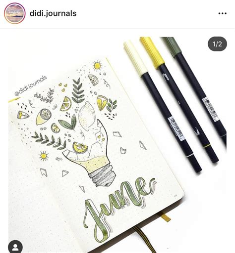 June Bullet Journal Inspiration Raes Daily Page