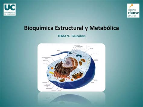 Pdf Bioqu Mica Estructural Y Metab Lica Dokumen Tips