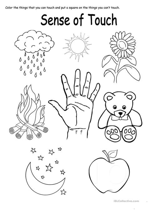 Senses Touch Worksheets Worksheetscity