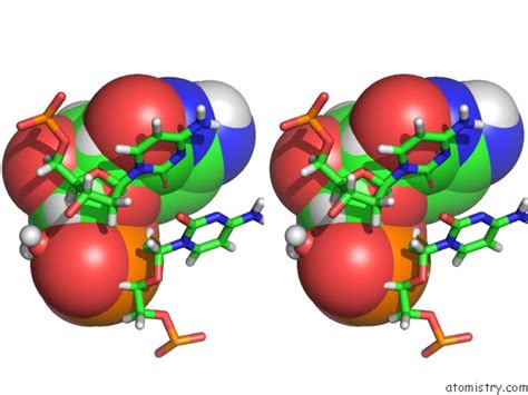 Phosphorus in PDB 190d: Crystal Structure of A Four-Stranded ...