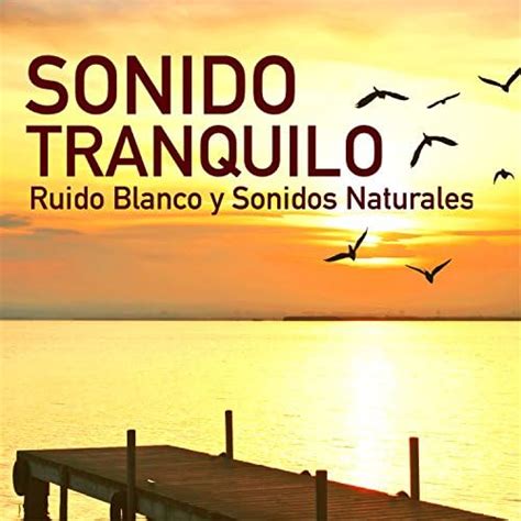 Sonido Tranquilo Ruido Blanco Y Sonidos Naturales Para Pensamientos