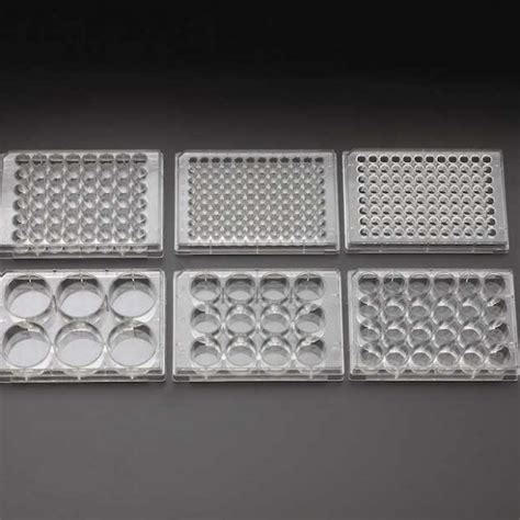 Celltreat Well Cell Culture Plates Morganville Scientific