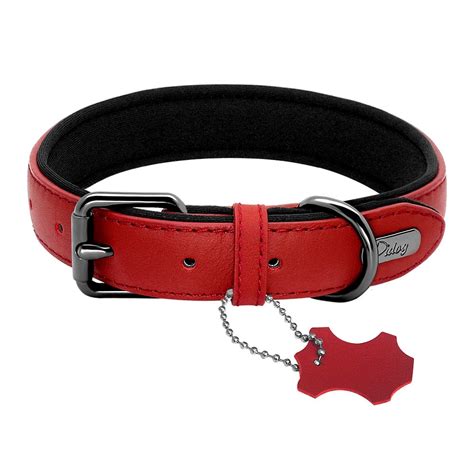 Comet Genuine Leather Dog Collar Neoprene Padded Dog Nation