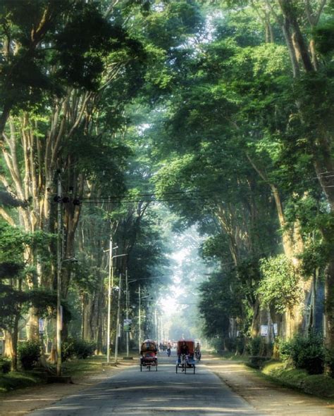 Paris Road Rajshahi University Bangladesh Paris Roads Asia Travel