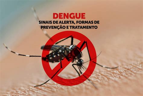 Dengue Sinais De Alerta Formas De Prevenção E Tratamento Hospital