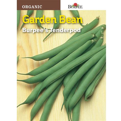 Burpee Bean Garden Tender Pod Organic Seed 67823 The Home Depot