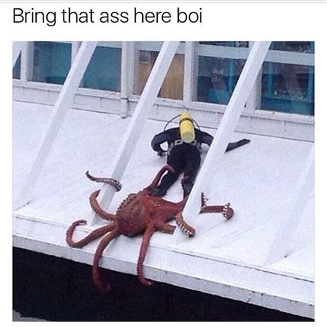 Big Papa Octo Wants Dat Ass Meme Subido Por Deleted Fb C