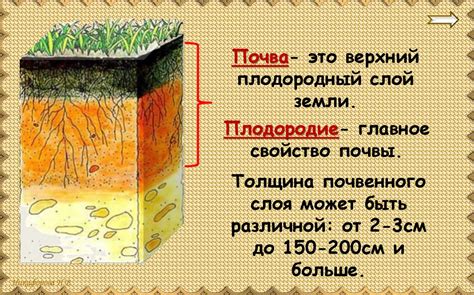 Что такое почва. Урок 14 - презентация онлайн