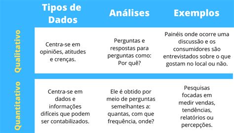 Análise de dados QuestionPro