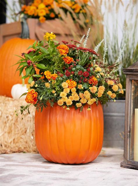 Simple Ways To Make A Pumpkin Planter Blitsy