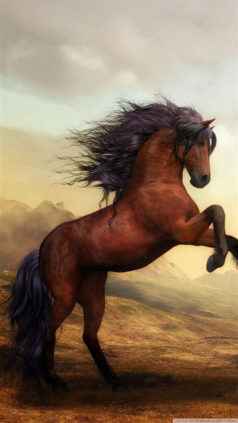 Horse Wallpaper Photos