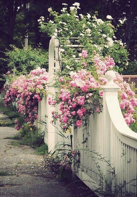 13 Fences with roses ideas | dream garden, beautiful gardens, cottage ...