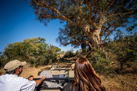 Toro River Lodges African Dream Safari