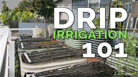 How To Build A Drip Irrigation System For Raised Beds