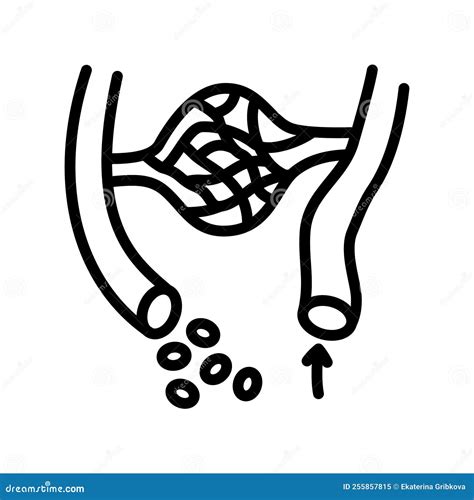 Human Internal Organs Flat Line Icon Anatomy Symbols Stock Vector