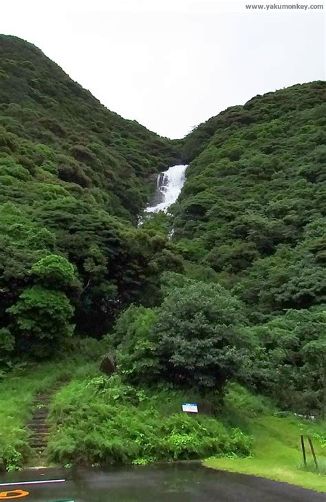 THE WATERFALLS OF YAKUSHIMA - Yakushima: A Visitors Guide