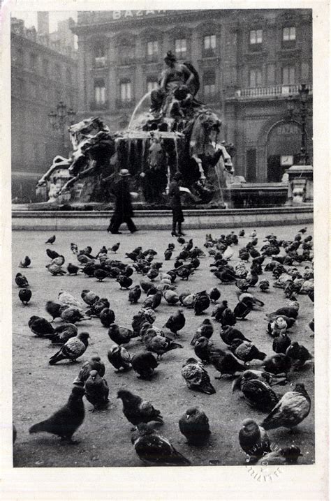 Photographes En Rh Ne Alpes Vues De Lyon Lyon Les Pigeons De La