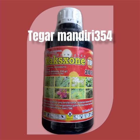 Jual Herbisida Kontak Maksxone Top Sl Liter Herbisida Kontak