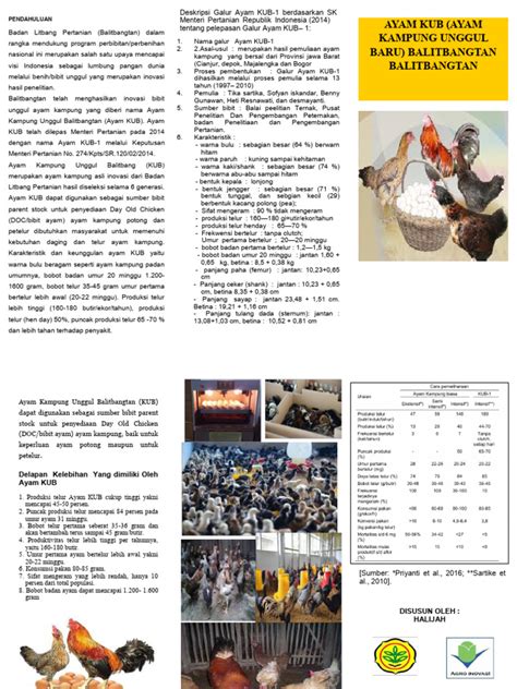 Brosur Ayam Kub Pdf