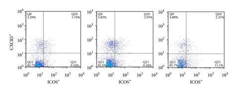 Detection Of Circulating Cxcr Cd Tfh Cells With Icoshigh And