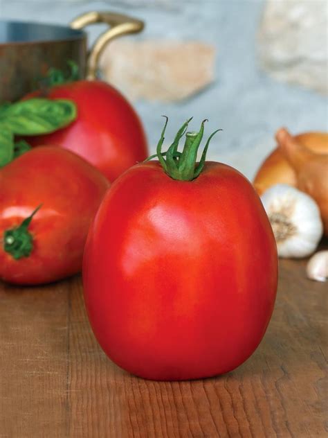 The Best Sauce Tomatoes Paste Tomato Varieties Hgtv