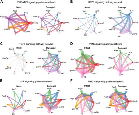 Frontiers Single Cell RNA Sequencing Analysis Of Human Chondrocytes