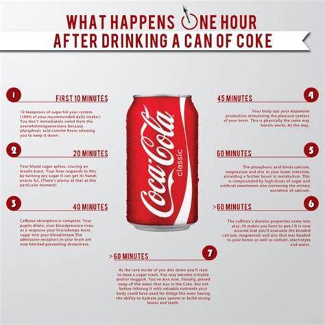 Coca-Cola Infographic - What Happens When You Drink a Coke | Teen Vogue