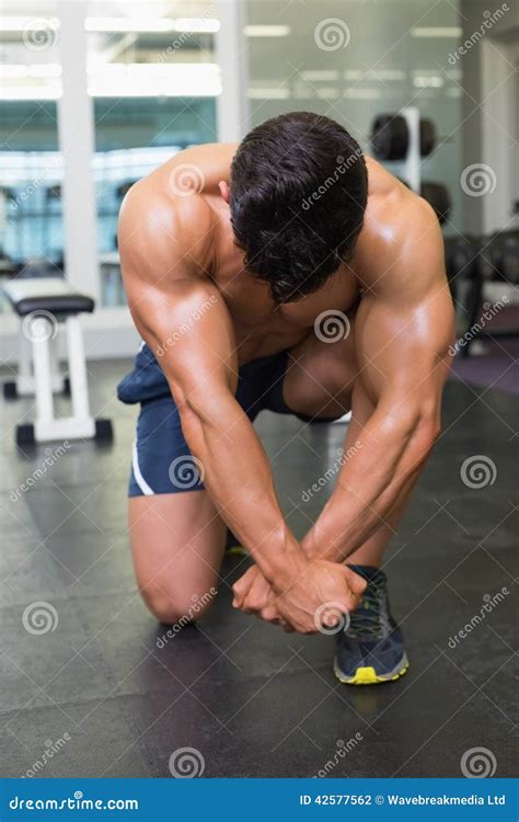 Homem Muscular Que Dobra Os Músculos No Gym Foto de Stock Imagem de