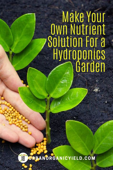 Homemade Hydroponics Garden Nutrients Solution Homemade Hydroponics