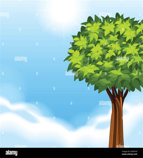 Baum Mit Wolken Stock Vektorgrafiken Kaufen Alamy