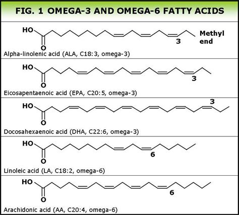 What kind of food should you eat if you have an ulcer, omega-3 ...