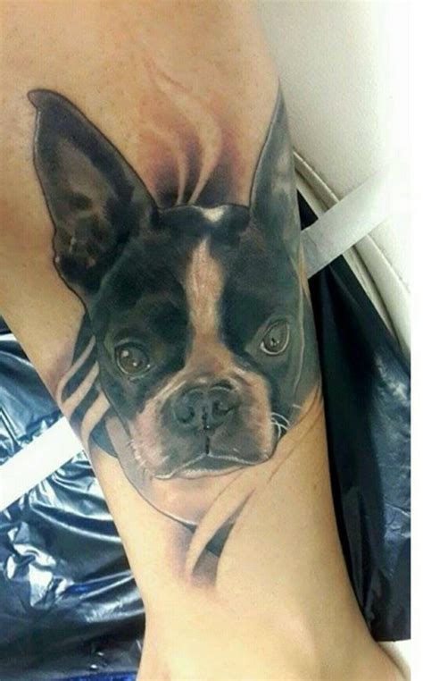 Pin By Pamela Lowrance On Tattoos Boston Terrier Tattoo Boston