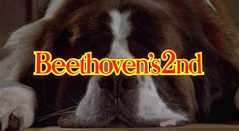 Beethoven 1992 Movie