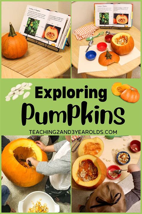 Pumpkin Science Activity Artofit