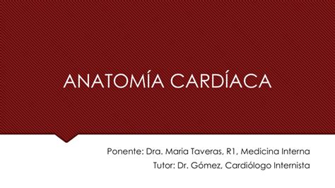 620375733 Anatomia Cardiaca