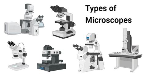 5 Types Of Microscopes With Definitions Principle Uses Labeled Diagrams