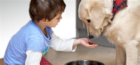 Teach Your Child about Proper Pet Care | Red Dog Betty