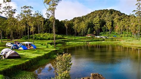 Tempat Wisata Ranca Upas Ciwidey Bandung Tempat Wisata Indonesia