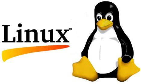 Descubre las múltiples ventajas de utilizar el sistema operativo Linux