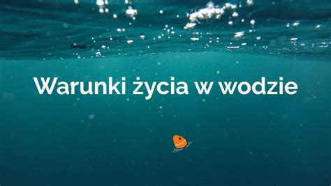 Warunki życia w wodzie cz 2 klasa 4