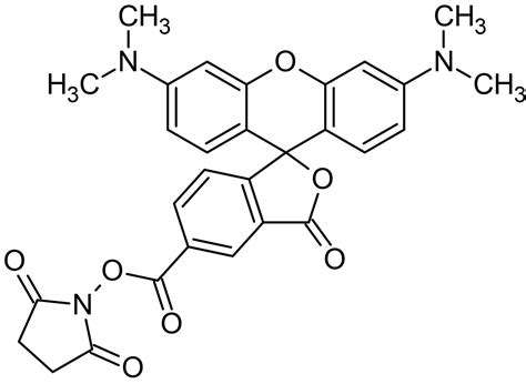 Tamra N Succinimidyl Ester Carboxy Tetramethylrhodamine N