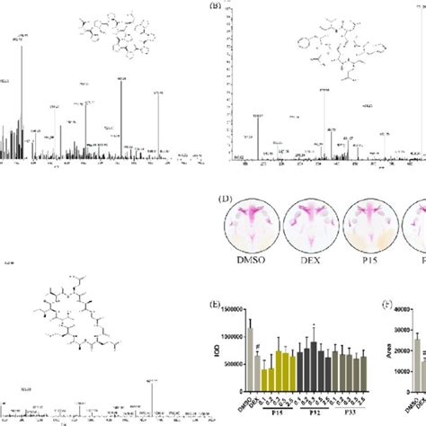 Mass Spectra Of Peptides Identified By Hplc Esi Ms Ms A P15 Download Scientific Diagram