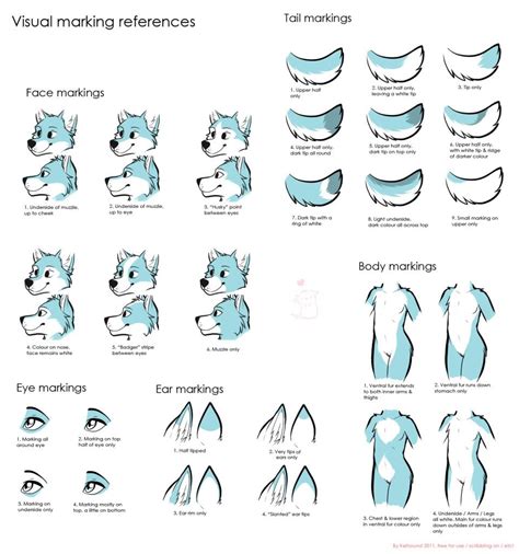 How To Draw A Furry Body Step By Step Images And Photos Finder