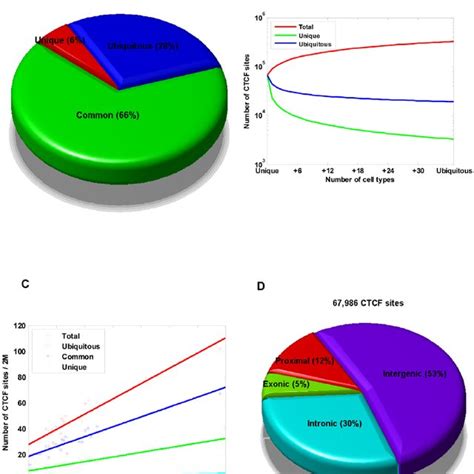 Identification And Characterization Of CTCF Binding Sites Across 38