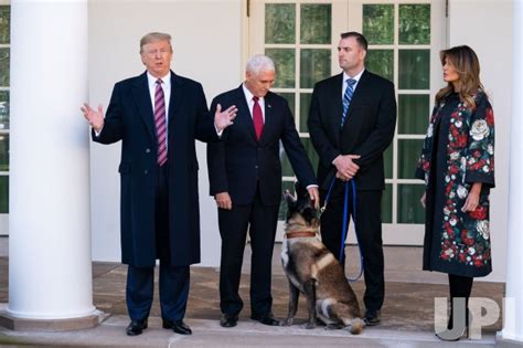 Photo President Trump Meets With Conan The Military Dog At The White