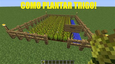 Como Plantar Trigo No Minecraft Youtube