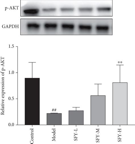 Shufeiya Recipe Activated The Pi K Akt Enos Signaling Pathway Of Ph