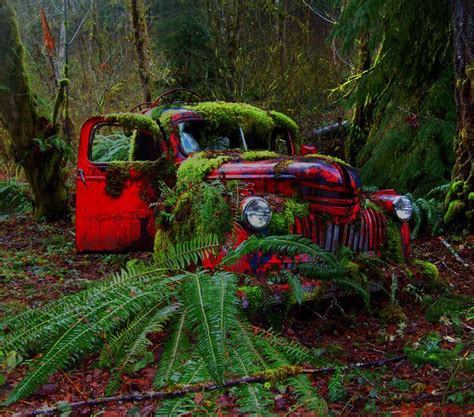 Old Fire Truck Fire Trucks Abandoned Cars Trucks