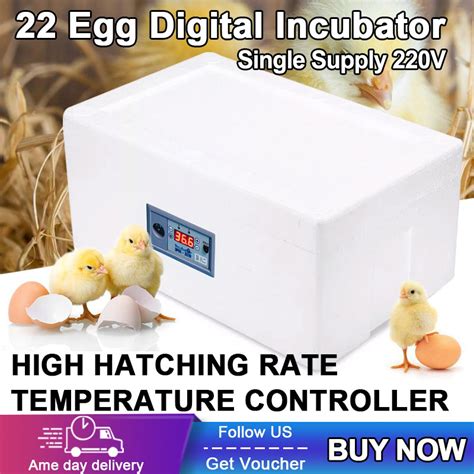 220v12v Eggs Incubator 244864130 Automatic Constant Temperature