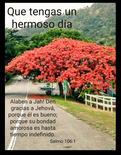 Pin De 1 713 577 9137 En Fotos Imagenes Testigos De Jehova Frases Biblicas De Animo